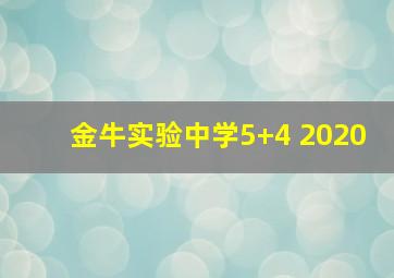 金牛实验中学5+4 2020